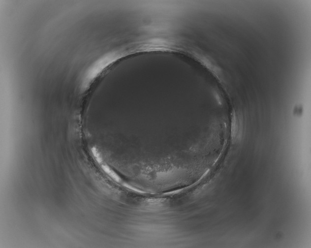 X0000113981453200910231657