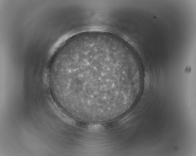 X0000113981454200910231657