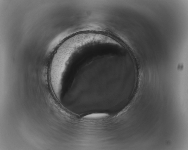 X0000113981455200910231657