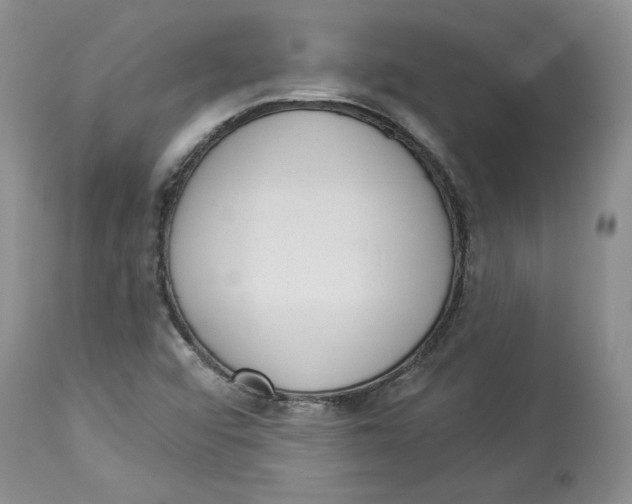 X0000113981456200910231657