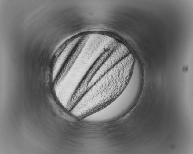 X0000113981457200910231657