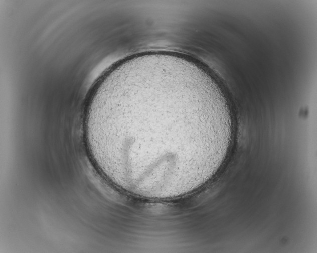 X0000113981458200910231657