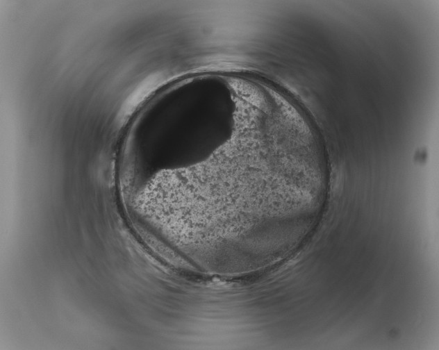 X0000113981459200910231657