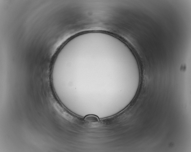 X0000113981460200910231657