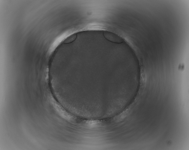 X0000113981461200910231657