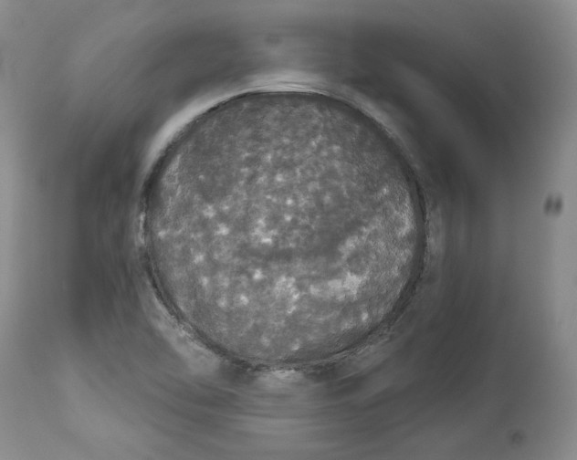 X0000113981462200910231657