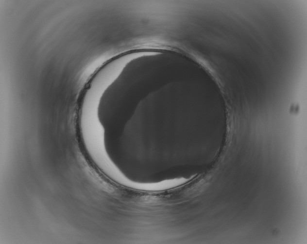 X0000113981463200910231657