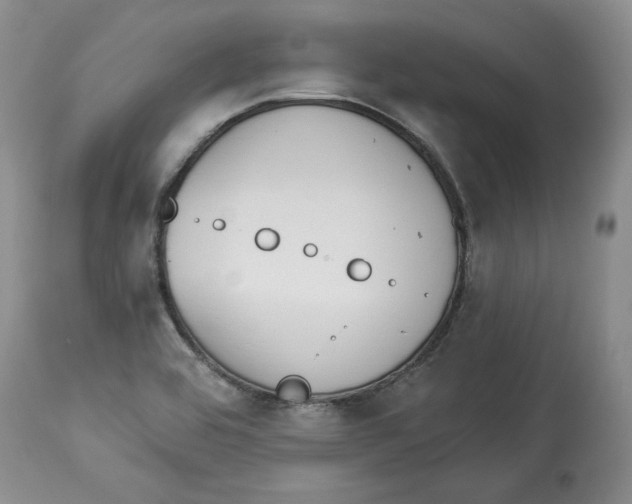 X0000113981464200910231657