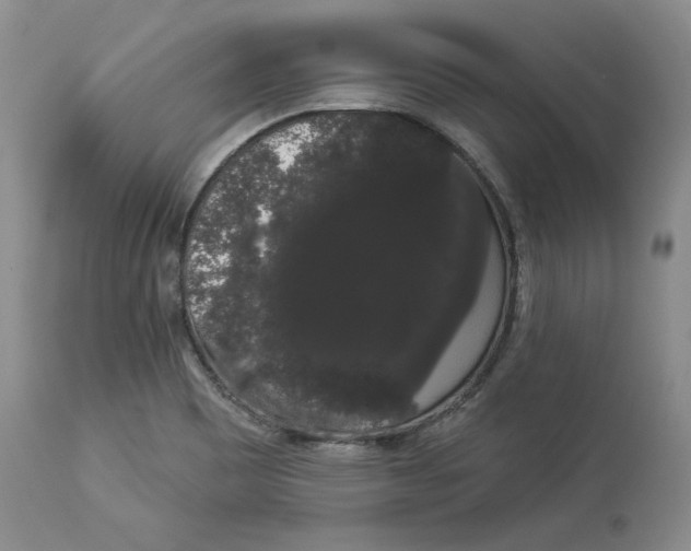 X0000113981465200910231657