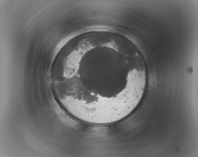 X0000113981466200910231657