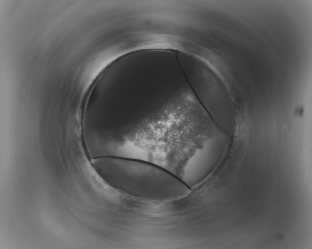 X0000113981468200910231657