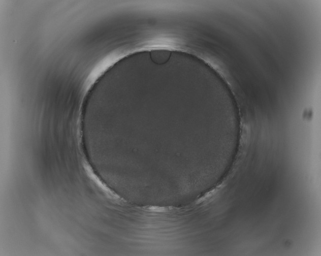 X0000113981469200910231657