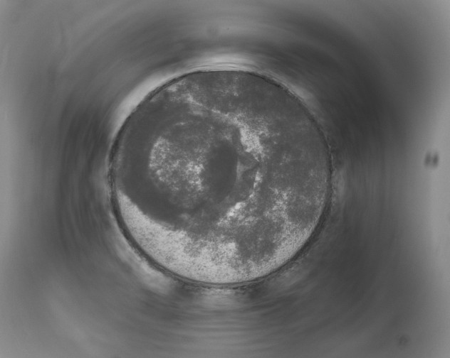 X0000113981470200910231657