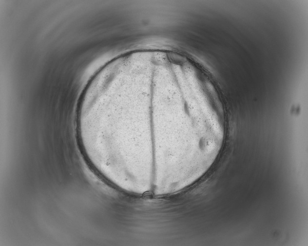 X0000113981471200910231657