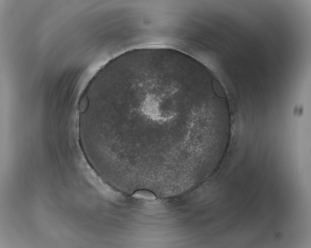 X0000113981472200910231657