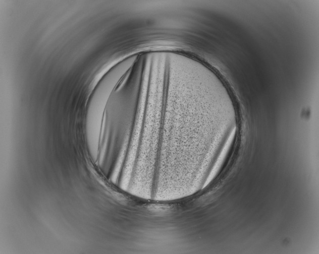 X0000113981473200910231657