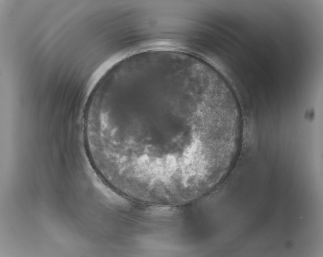 X0000113981474200910231657