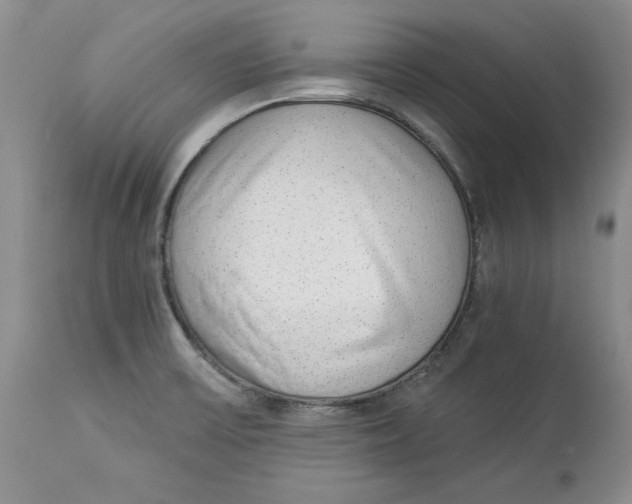 X0000113981475200910231657