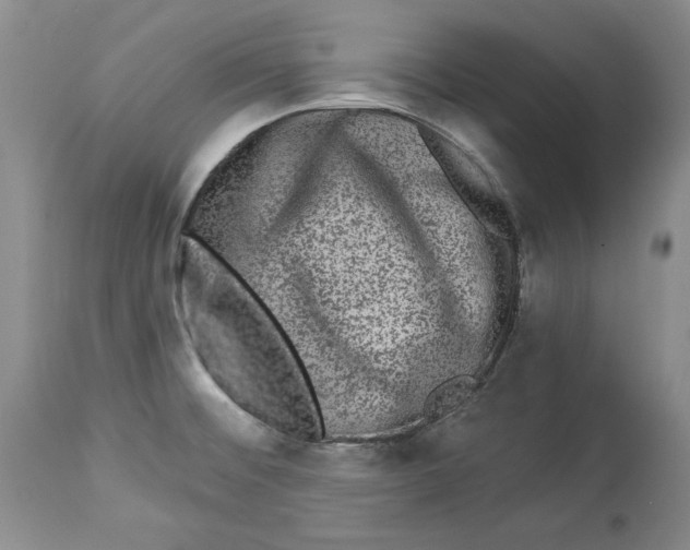 X0000113981476200910231657