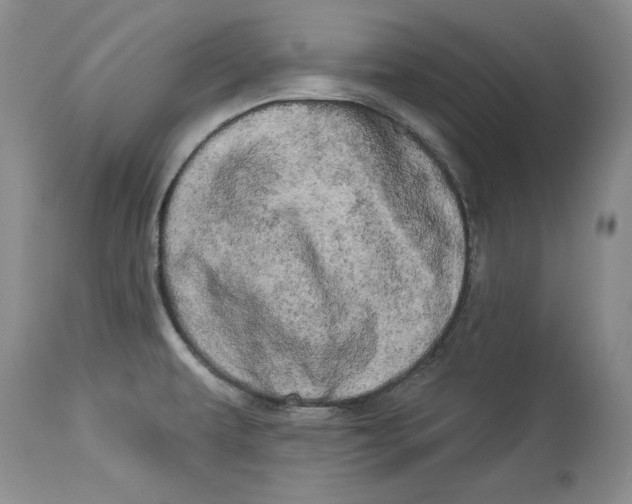 X0000113981479200910231657