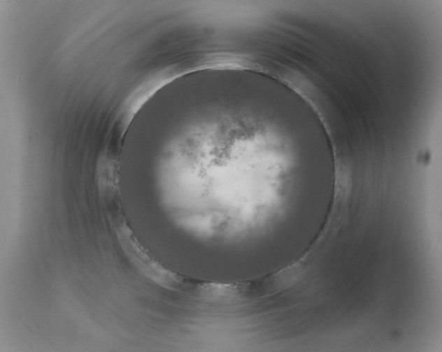 X0000113981481200910231657