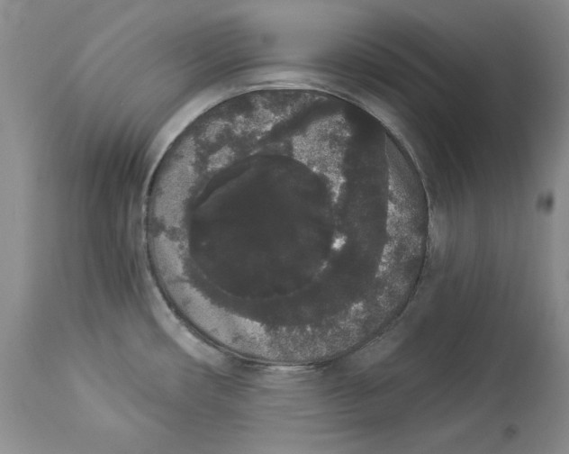 X0000113981482200910231657