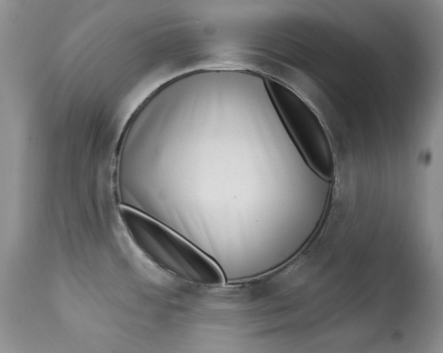 X0000113981484200910231657