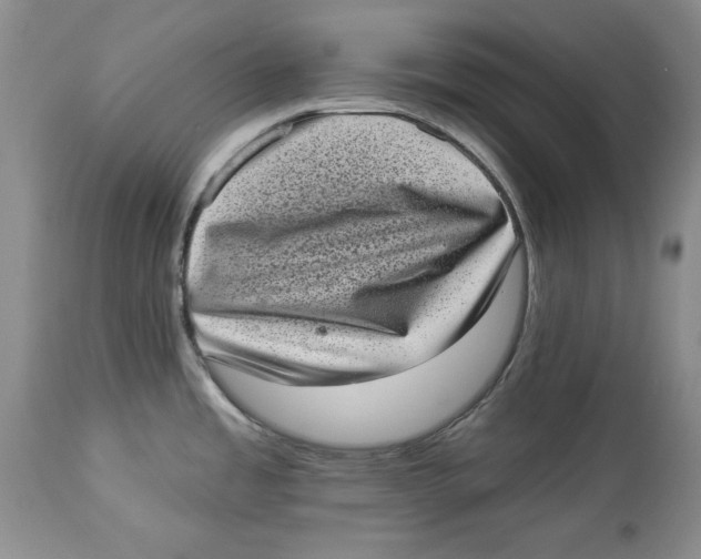 X0000113981485200910231657