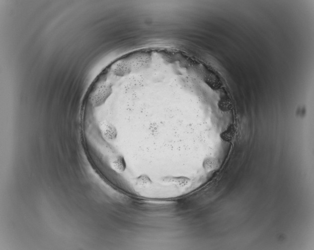 X0000113981487200910231657