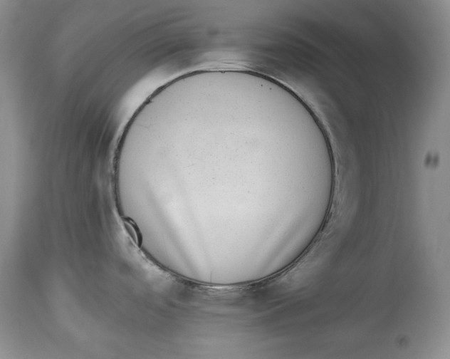 X0000113981488200910231657