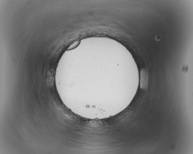 X0000113981491200910231656