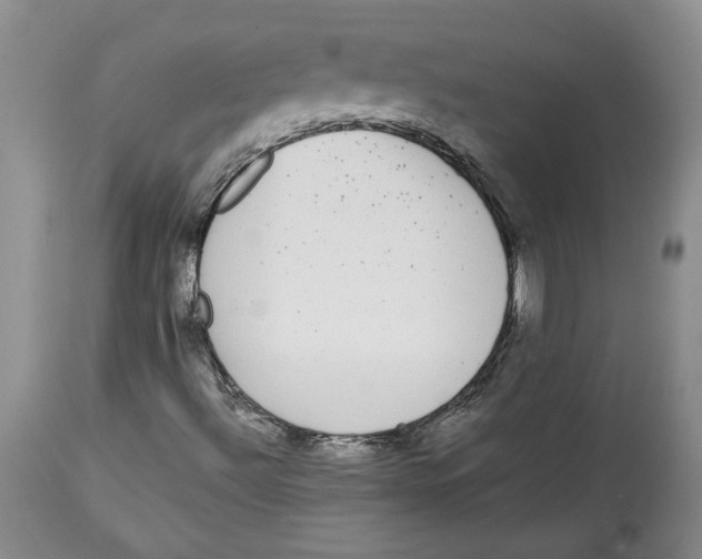 X0000113981492200910231656