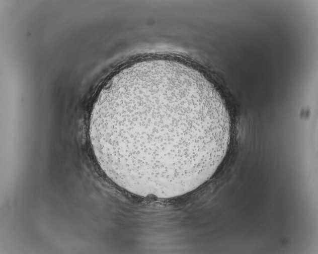 X0000113981493200910231656