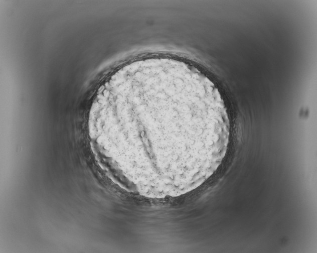 X0000113981494200910231656