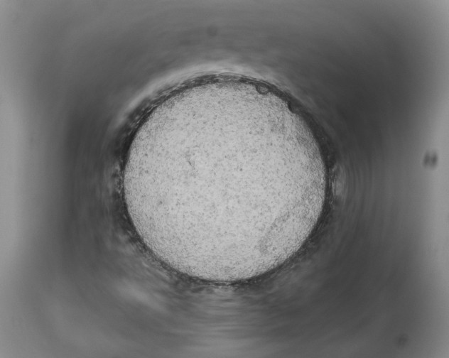 X0000113981495200910231656