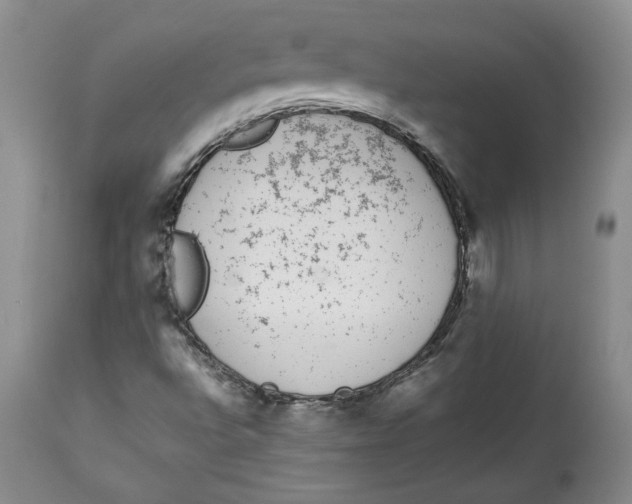 X0000113981496200910231656