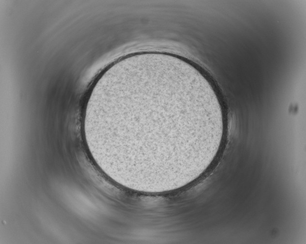 X0000113981498200910231656