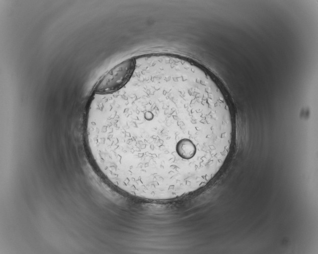 X0000113981500200910231656