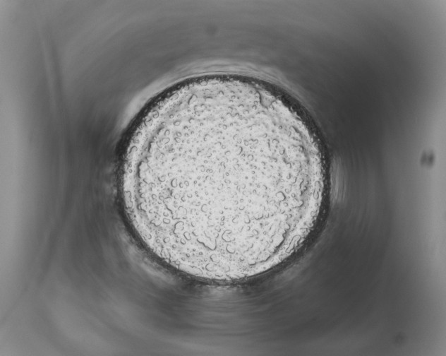 X0000113981501200910231656