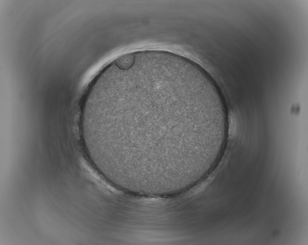 X0000113981502200910231656