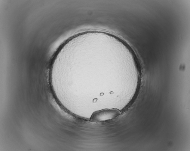 X0000113981503200910231656