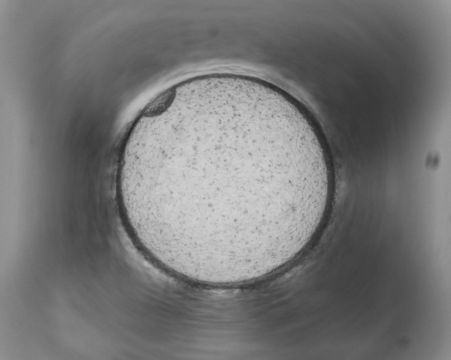 X0000113981504200910231656