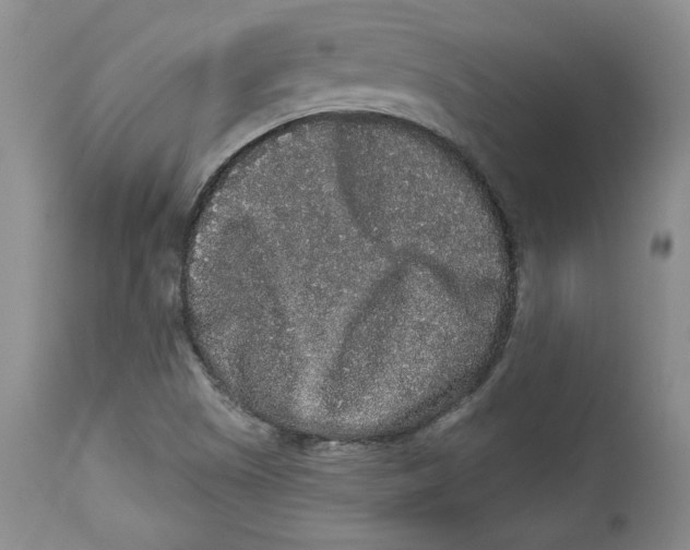 X0000113981505200910231656