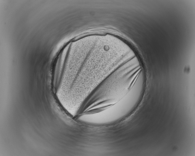 X0000113981506200910231656