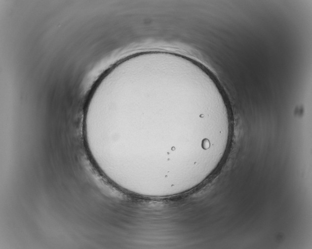 X0000113981507200910231656