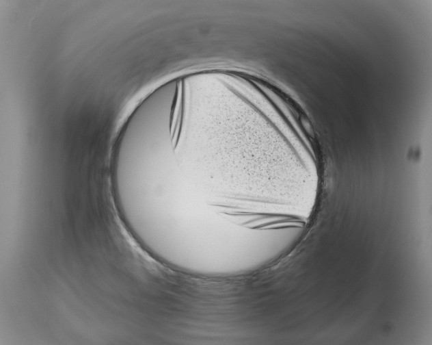 X0000113981508200910231656