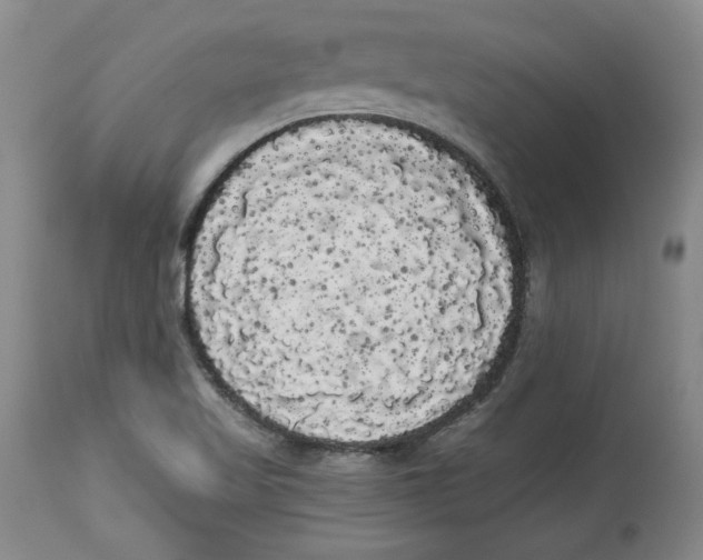 X0000113981509200910231656