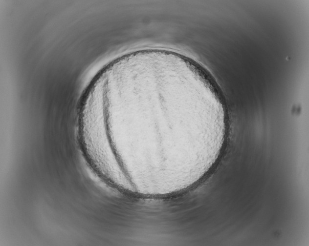 X0000113981511200910231656