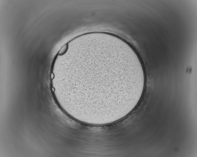 X0000113981512200910231656