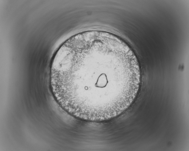 X0000113981514200910231656